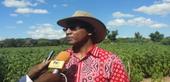  Brigada Central faz uma avaliação positiva das actividades dos Sectores Agrário, Pesqueiro e Comercial em Inhambane